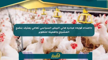 «أصداء قوية» مبادرة هاني البيض السياسي تهامي يعترف بنضج المشروع وأهميته للتطوير